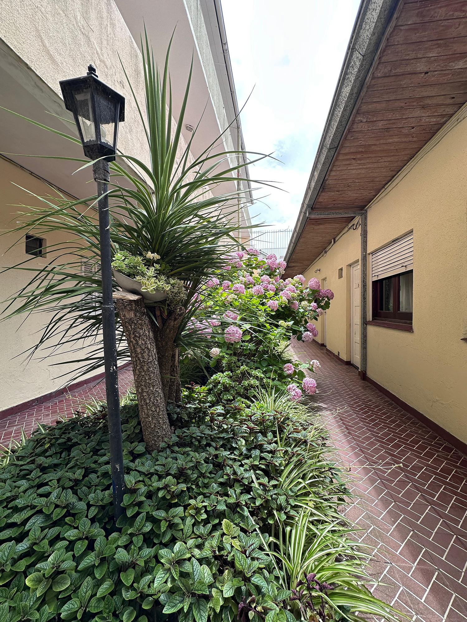 Patio Interno